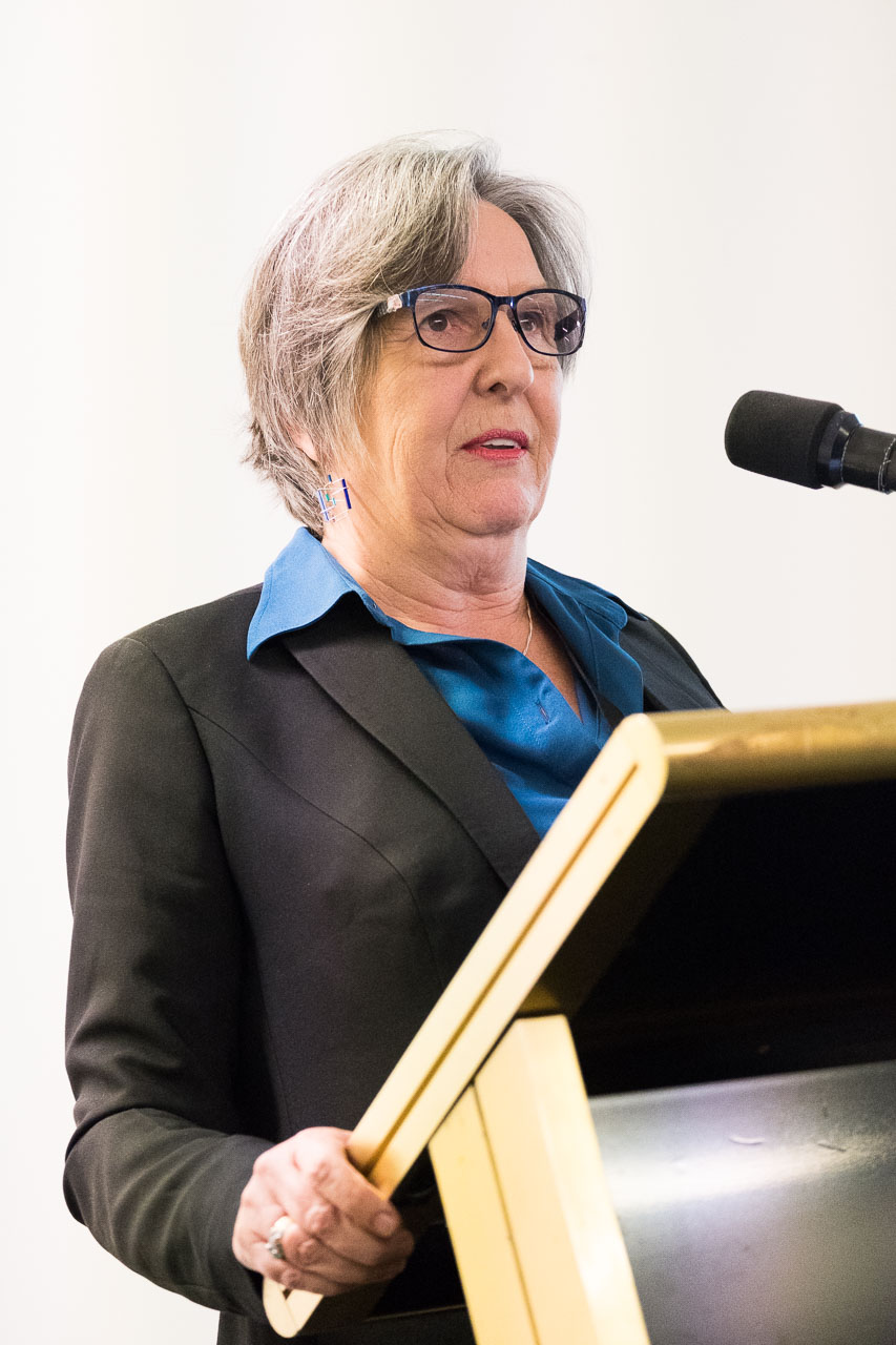 Professor Brenda Happell at 2019 collab event