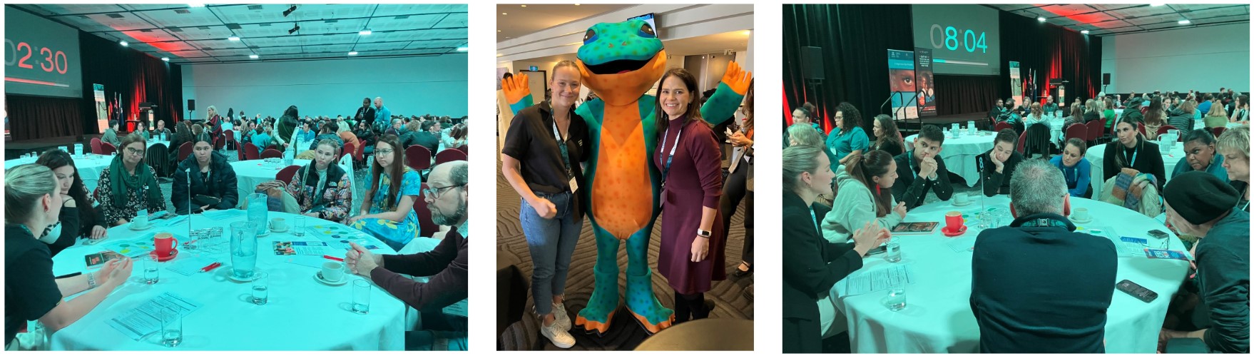 collage from conference