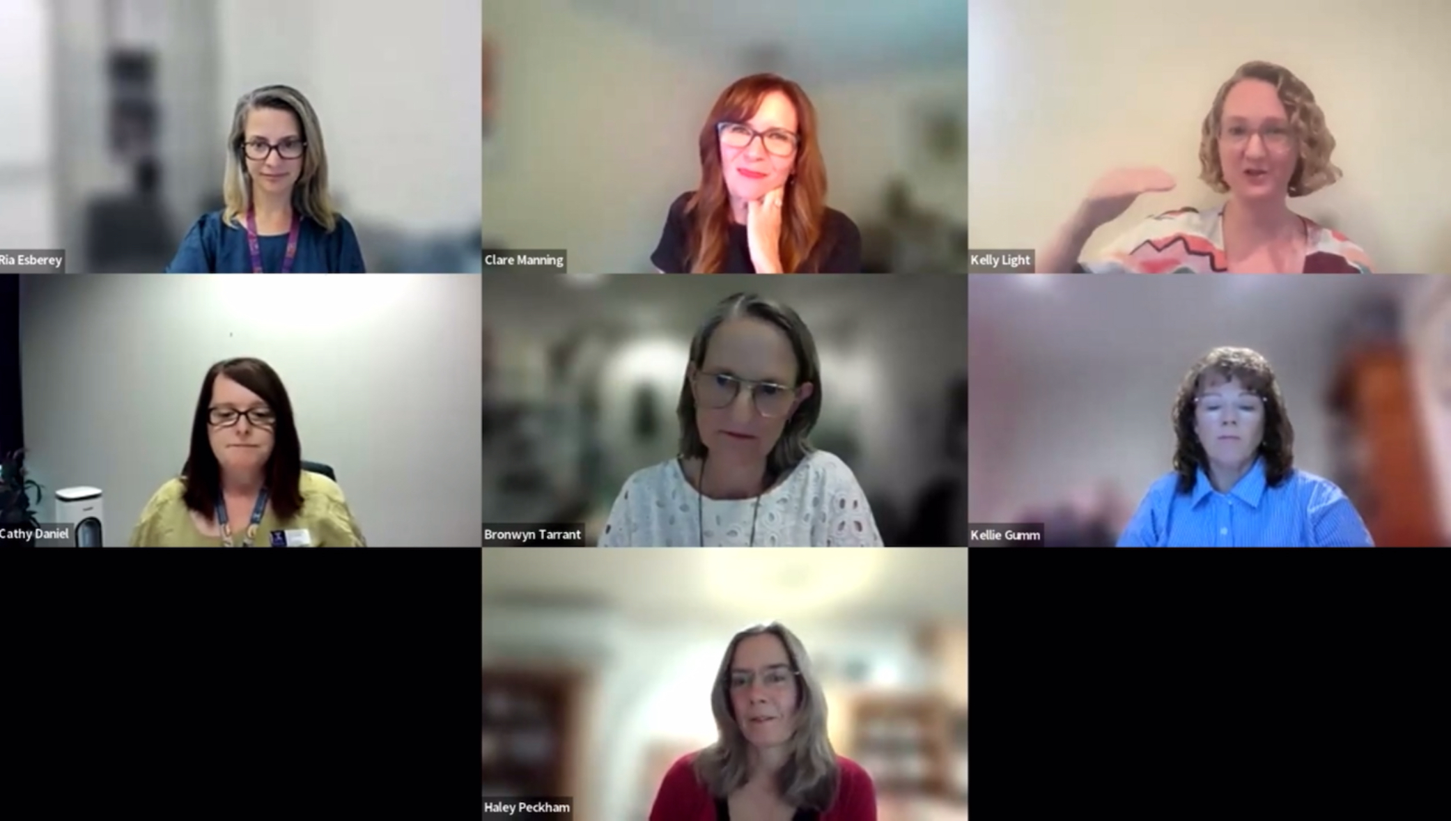 Panelists at Nursing Webinar 2025