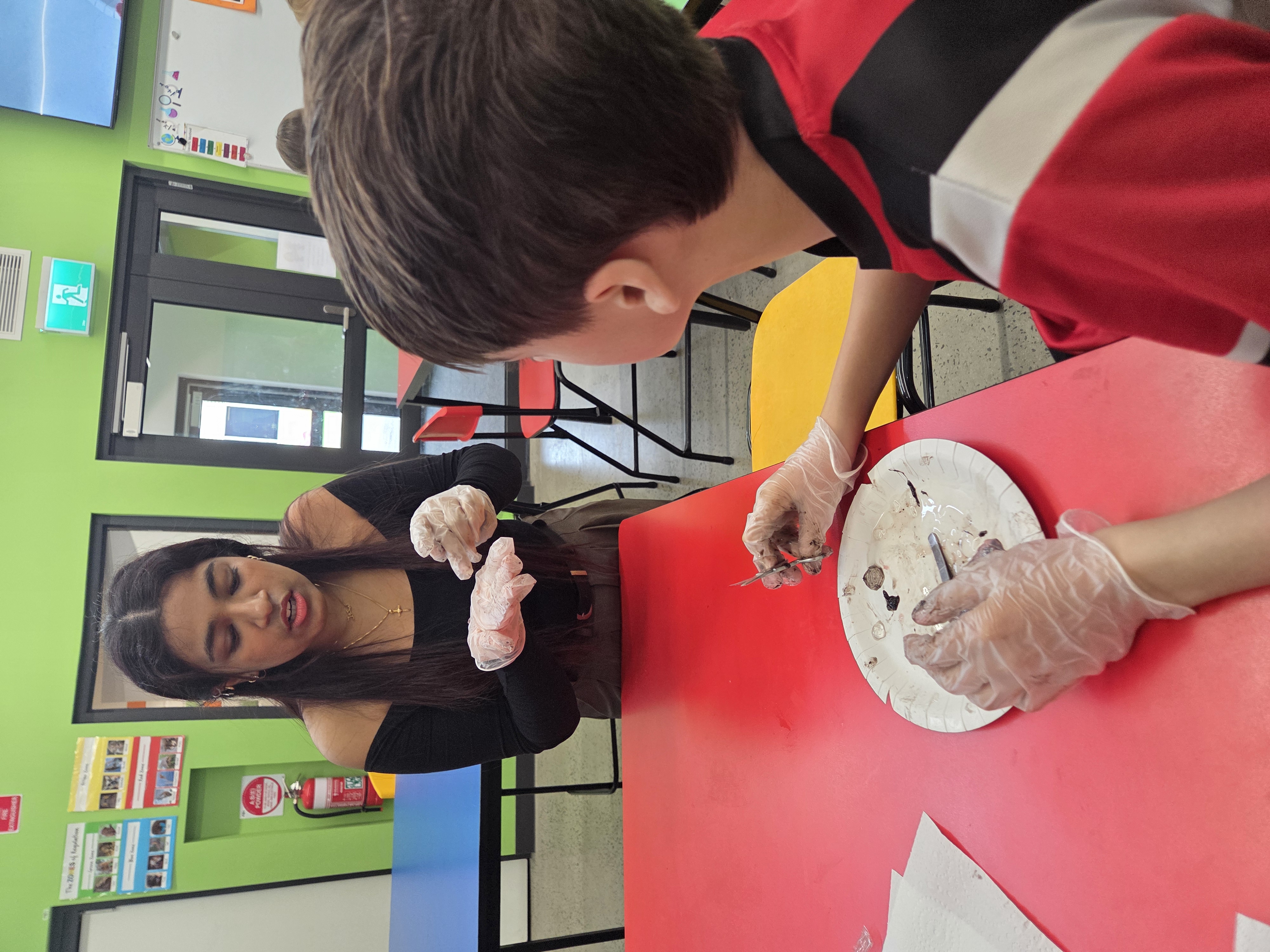 a teacher and student in classroom with paper plate, cow eyeball and science equipment