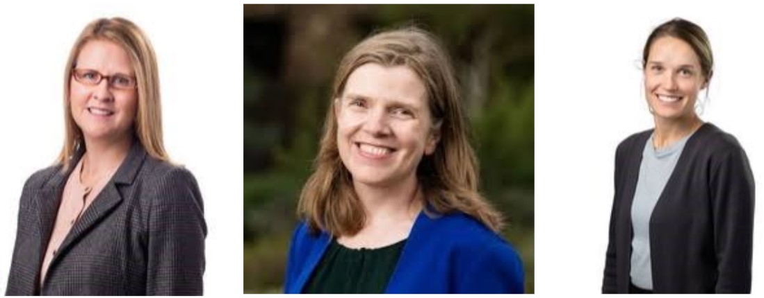 NHMRC grant winners for physiotherapy