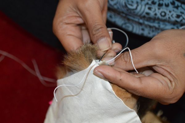 Photograph of hands sewing possum skin cloak